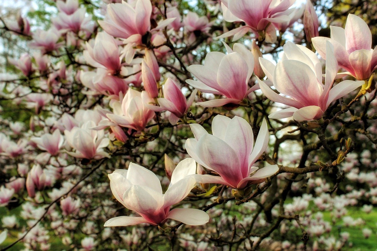Cost Of Living In Floral Park USA Cost Of Living In Floral Park USA