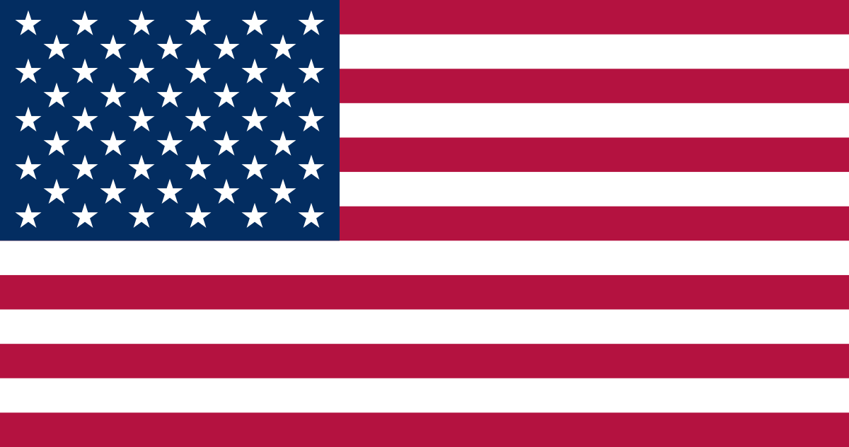 United States skyline with flag